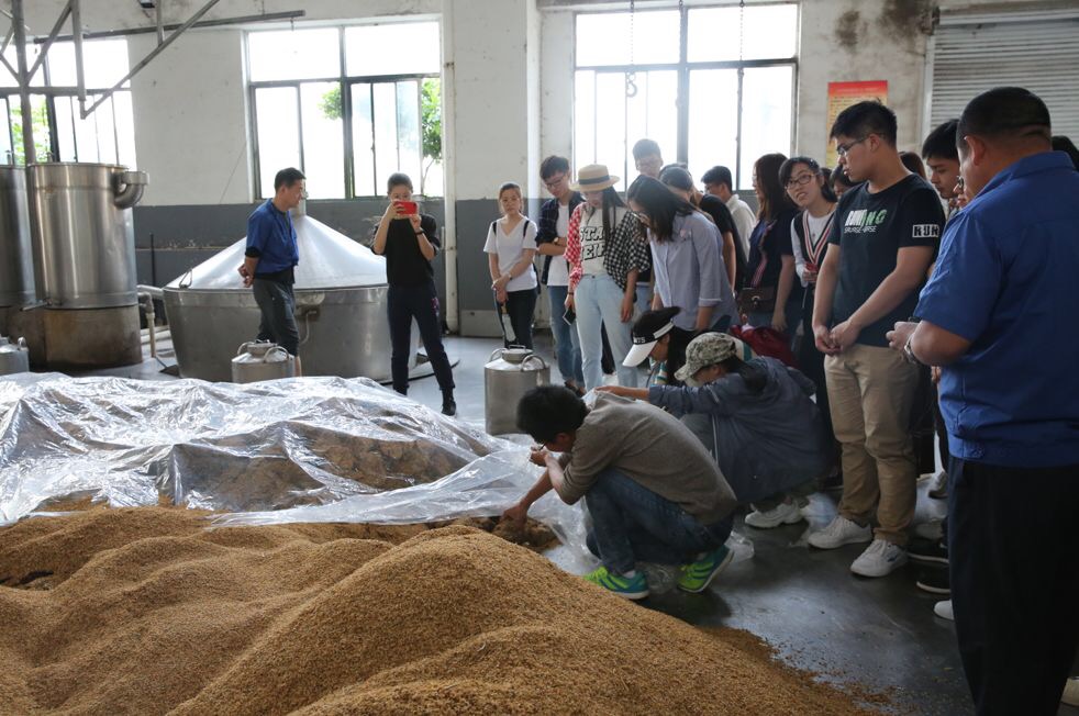 1008921447 1008921447